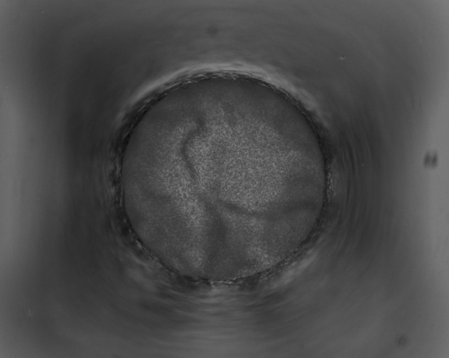 X0000100841494200807180908