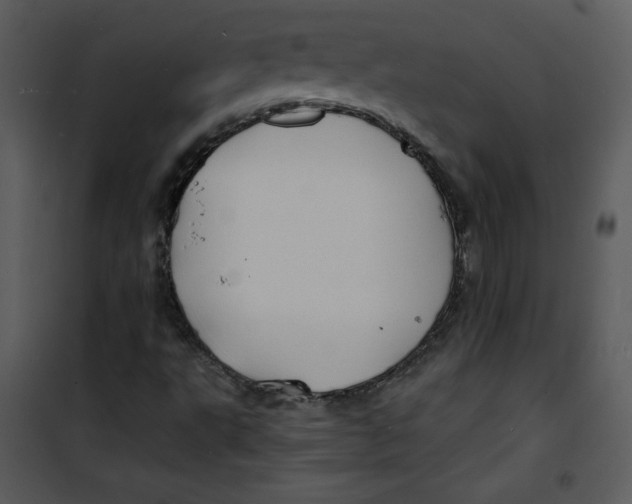 X0000100841495200807180908