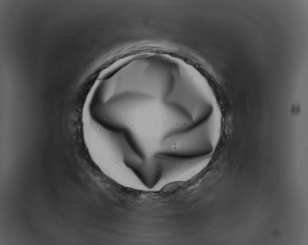 X0000100841496200807180908