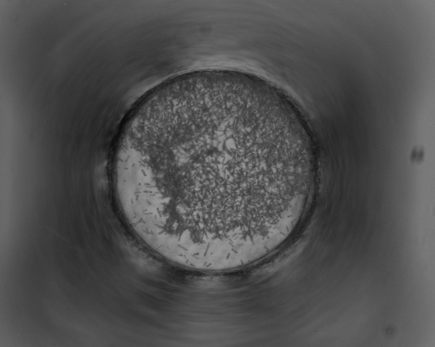 X0000100841497200807180908
