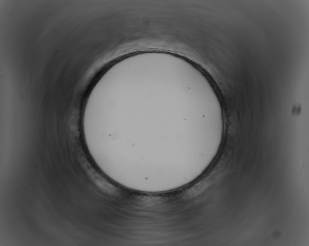 X0000100841499200807180908