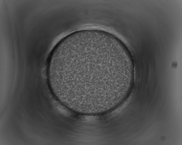 X0000100841501200807180908