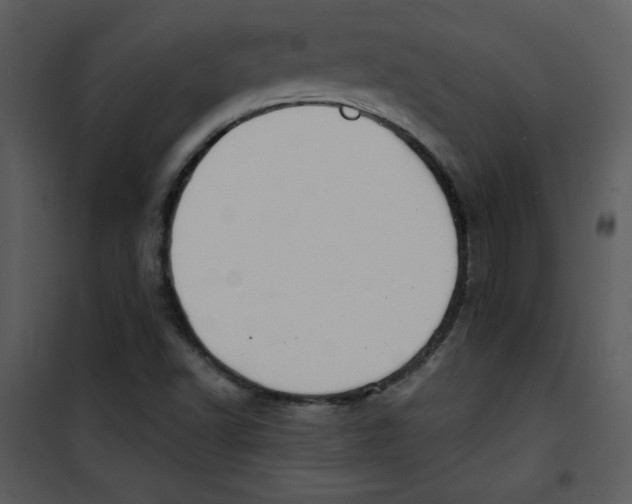 X0000100841502200807180908