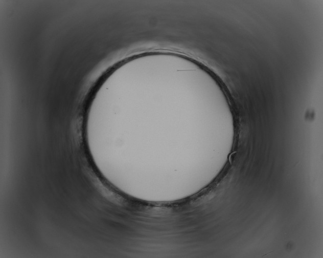 X0000100841503200807180908