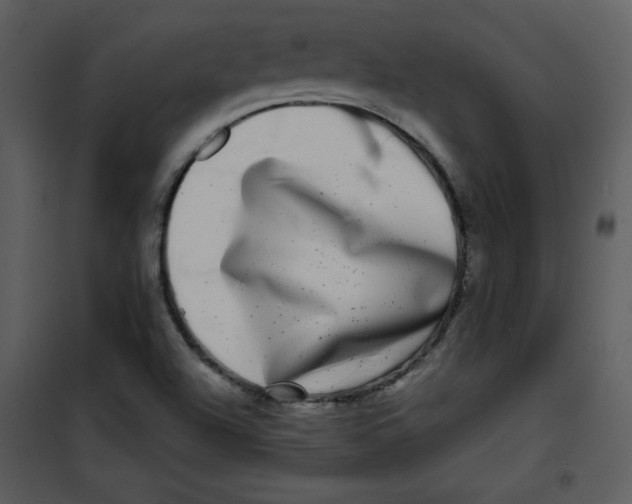 X0000100841504200807180908