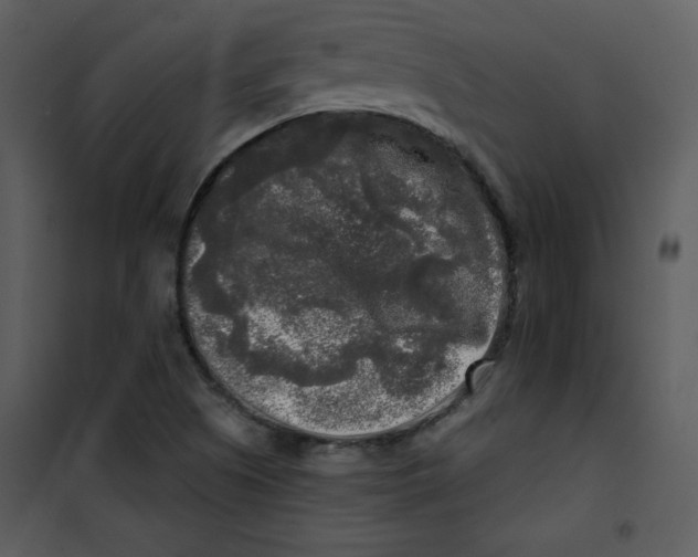 X0000100841505200807180908