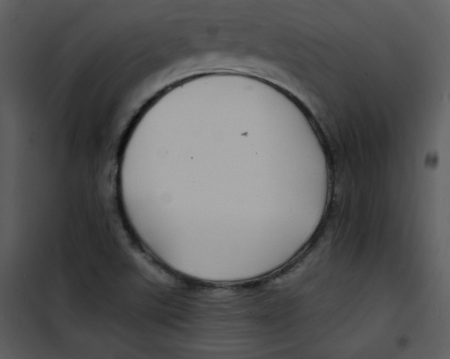 X0000100841507200807180908