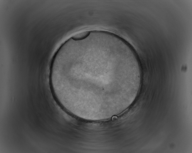 X0000100841508200807180908