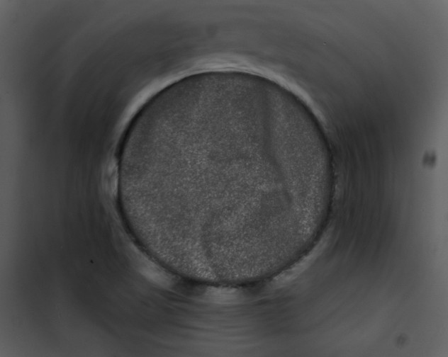 X0000100841509200807180908