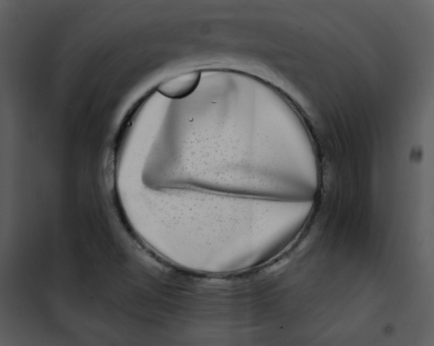 X0000100841510200807180908