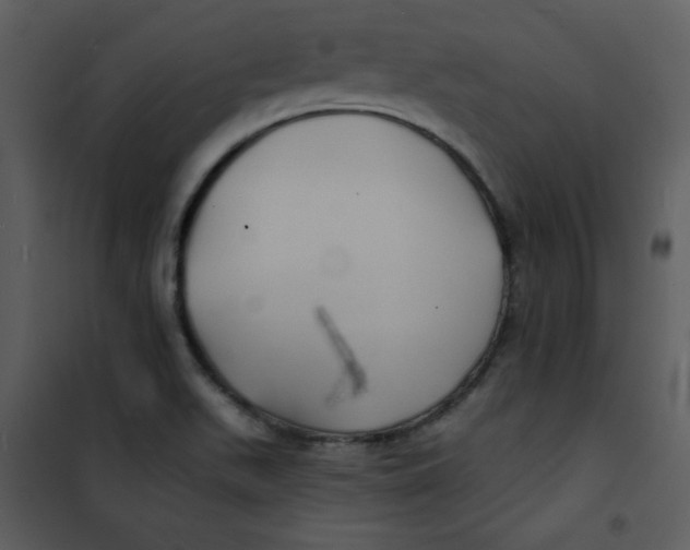 X0000100841511200807180908