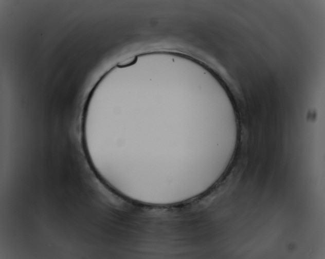 X0000100841512200807180908