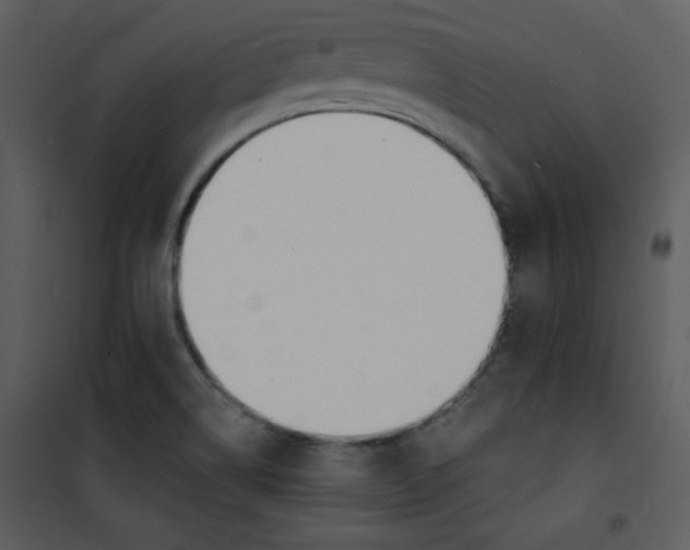 X0000100841514200807180908