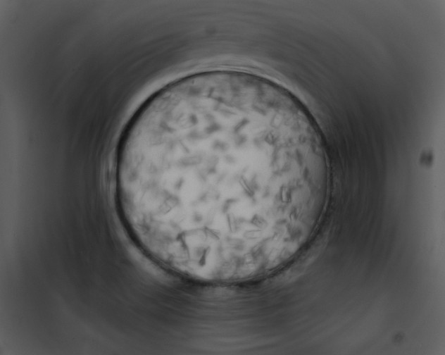 X0000100841515200807180908