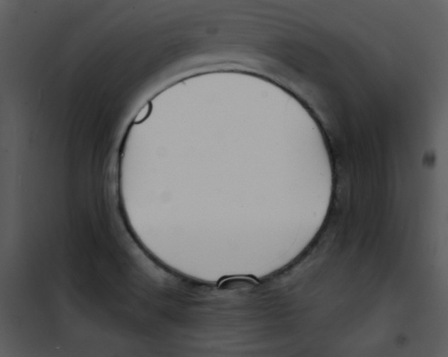 X0000100841516200807180908