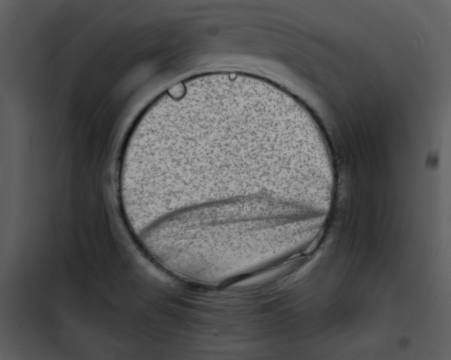 X0000100841517200807180908