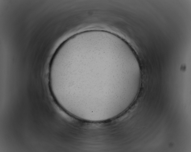 X0000100841519200807180908