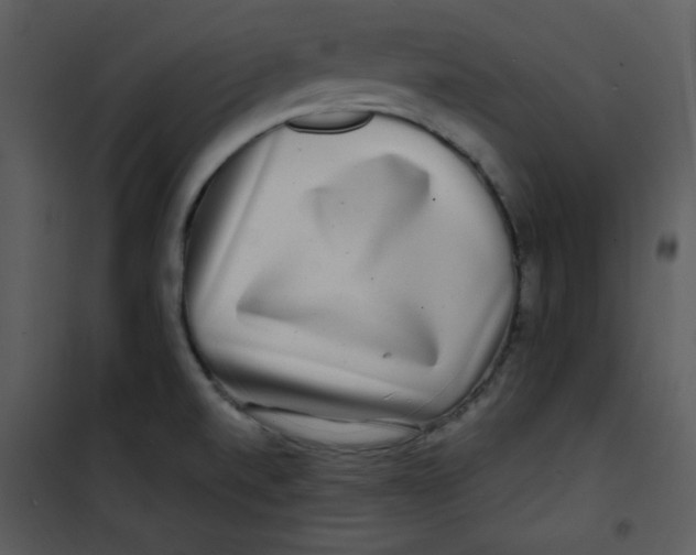 X0000100841520200807180908