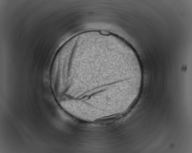 X0000100841521200807180908