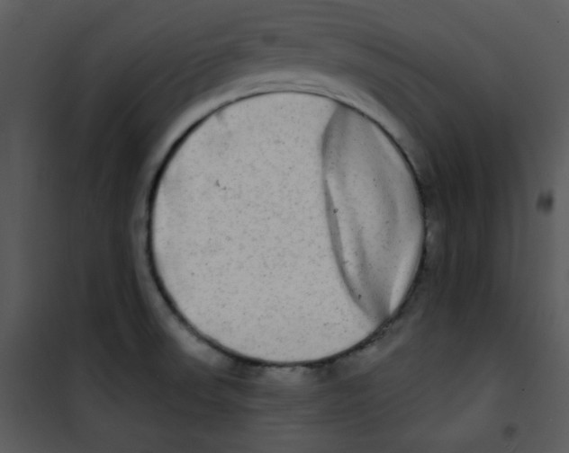 X0000100841523200807180908