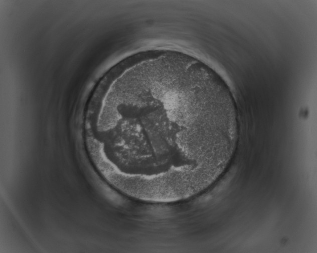 X0000100841525200807180908