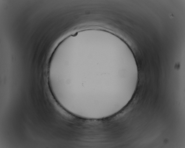 X0000100841526200807180908