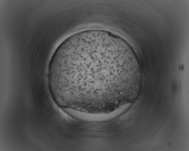 X0000100841527200807180908
