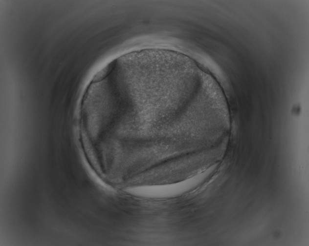 X0000100841528200807180908