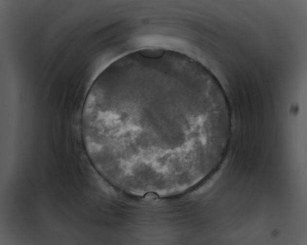 X0000100841529200807180908