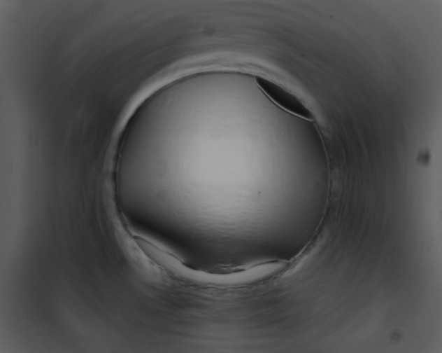 X0000100841530200807180908