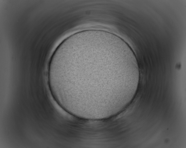 X0000100841531200807180908