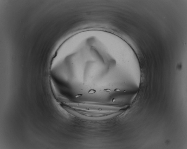 X0000100841532200807180908