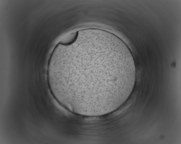 X0000100841535200807180908