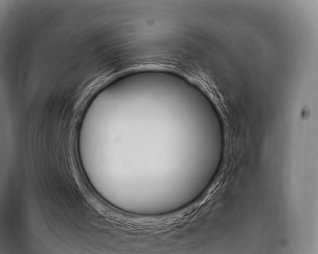 X0000100850001200806200813