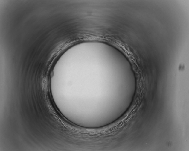 X0000100850002200806200813
