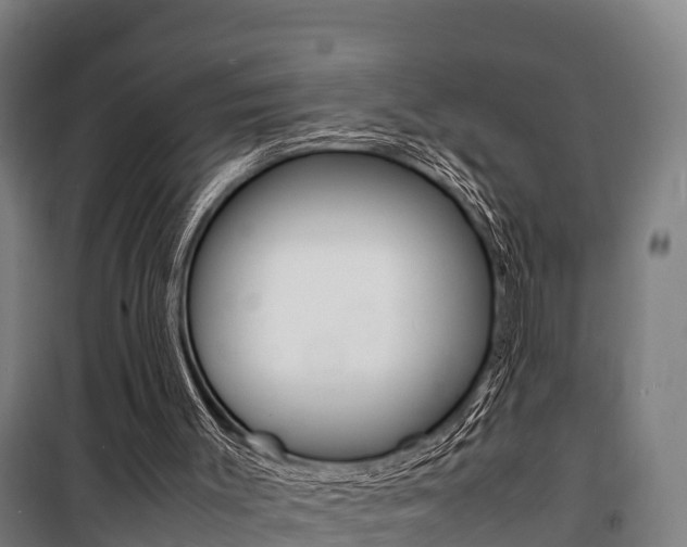 X0000100850003200806200813