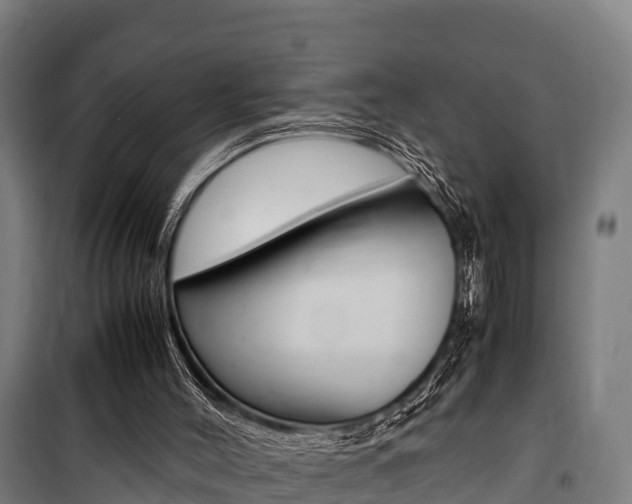 X0000100850004200806200813