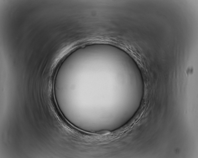 X0000100850005200806200813