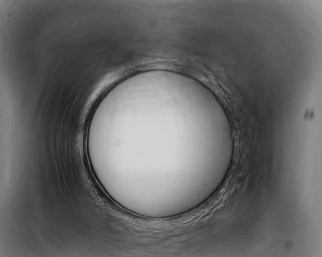 X0000100850006200806200813