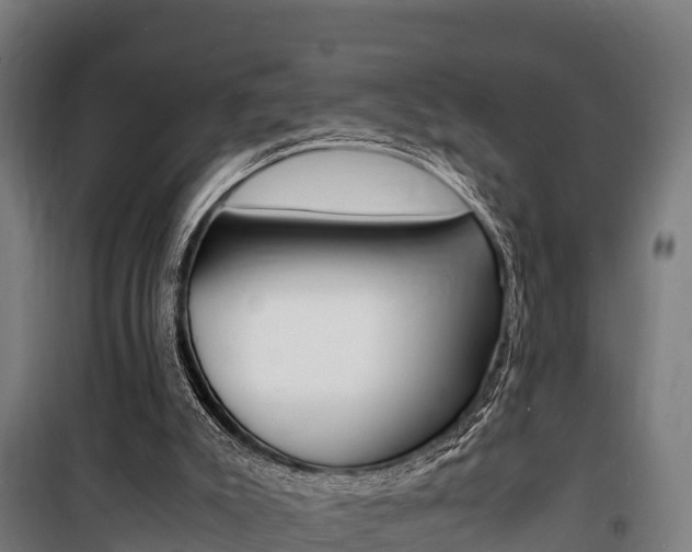 X0000100850007200806200813