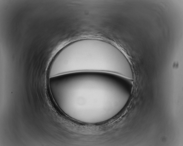 X0000100850008200806200813