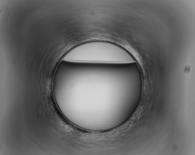 X0000100850009200806200813