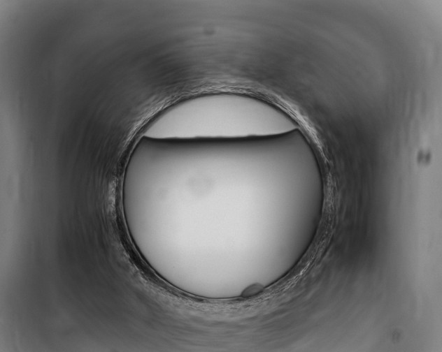 X0000100850010200806200813