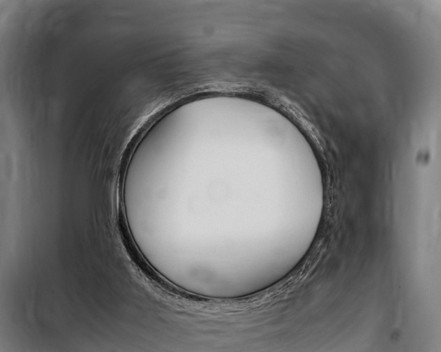 X0000100850011200806200813