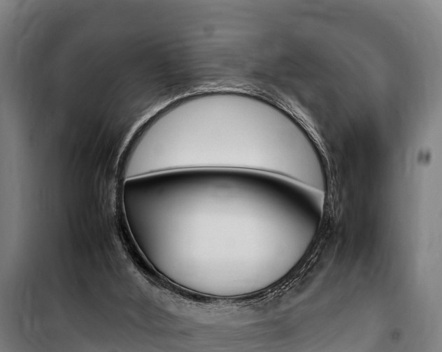 X0000100850012200806200813