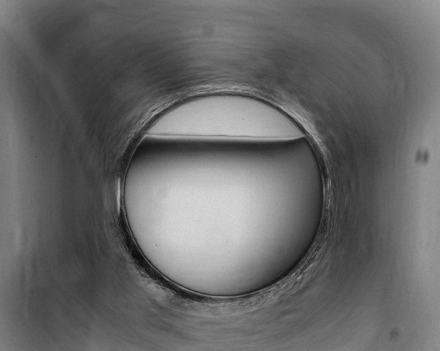 X0000100850013200806200813