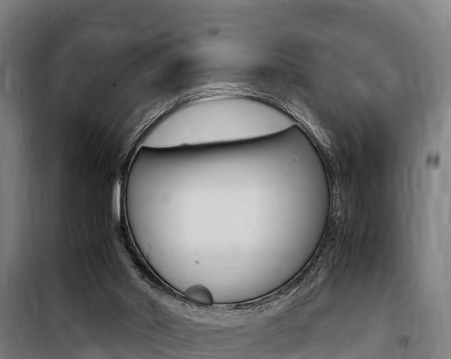 X0000100850014200806200813