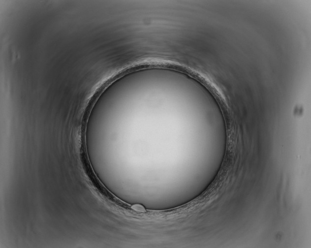X0000100850015200806200813