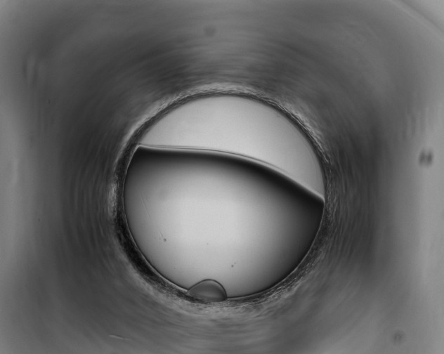 X0000100850016200806200813