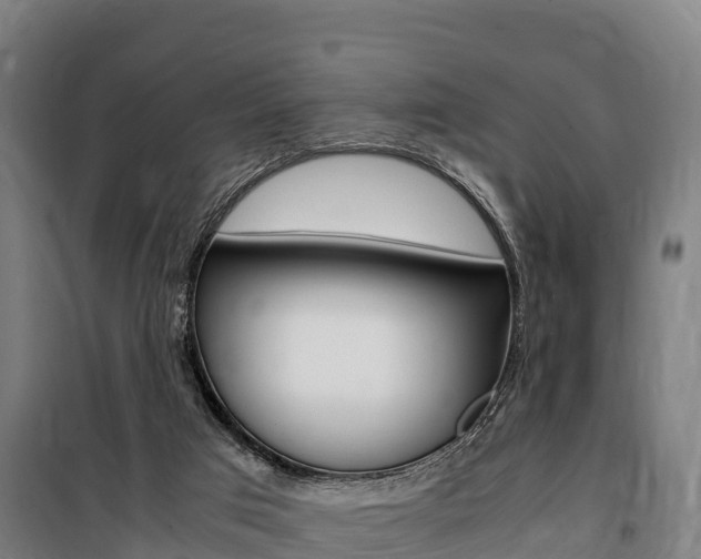 X0000100850017200806200813